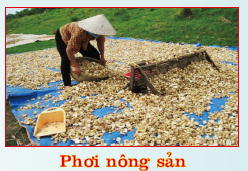 Phơi nông sản - Khải Thừa Việt Nam - Công Ty TNHH Khải Thừa Việt Nam